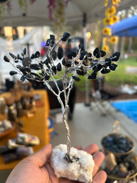 Black Tourmaline trees