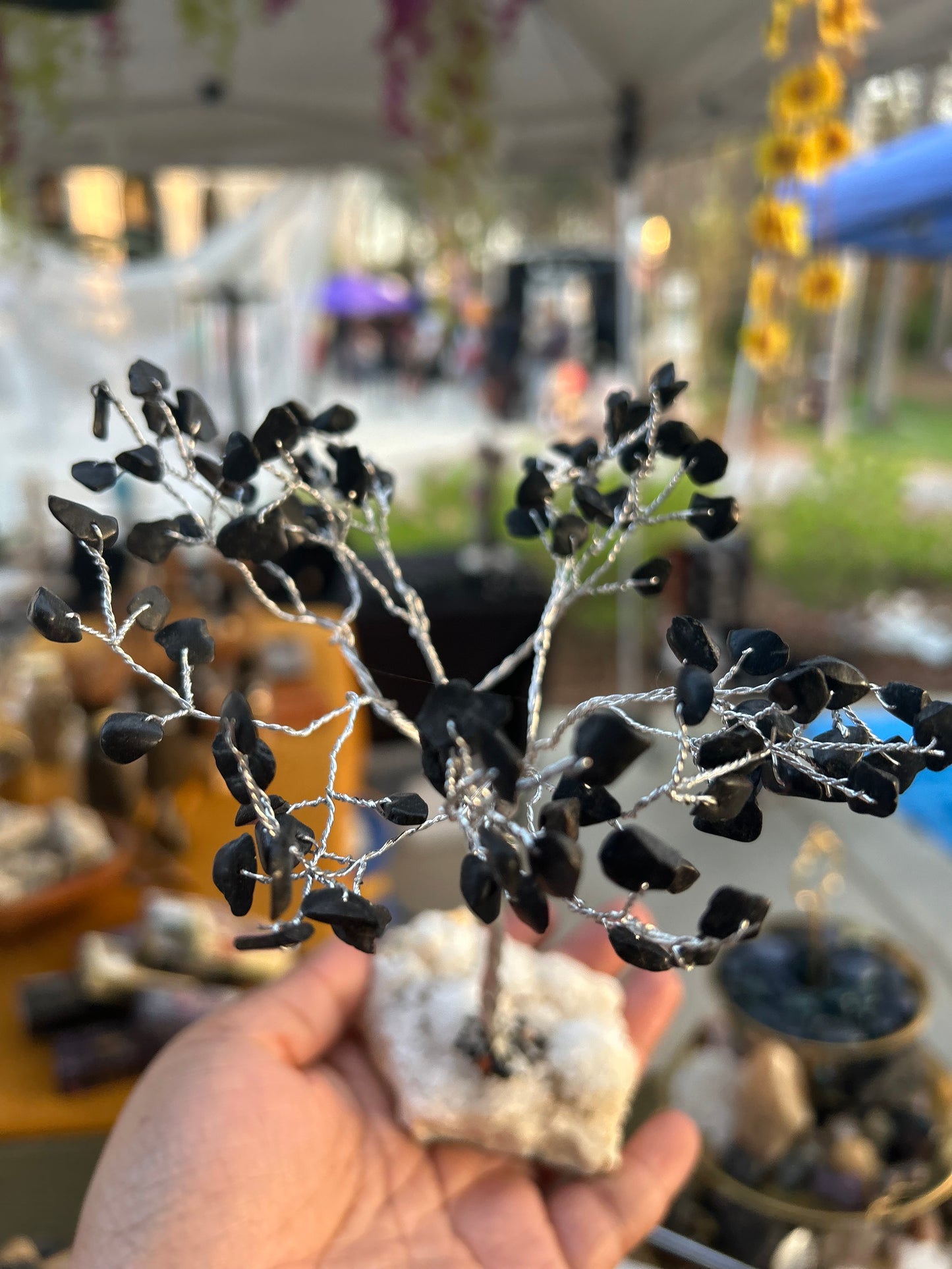 Black Tourmaline trees